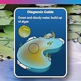 NT Labs Pond Magiclear, Clears Green and Cloudy Water, Control Against Algae Build up, Improves Pond Water Quality, Pond Water Flocculant (1 Litre)