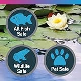 NT Labs Pond Magiclear, Clears Green and Cloudy Water, Control Against Algae Build up, Improves Pond Water Quality, Pond Water Flocculant (1 Litre)