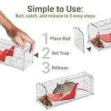 ROSHIELD 4 X Humane MOUSE Traps for Indoors and Outdoors, Duty Pest Trap for Catch Alive. Pets and Children Friendly. Reusable Rodent Mice Trap. Quick, Effective and Highly Sensitive Catcher