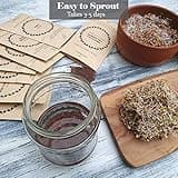 Verdant Republic Organic Sprouting Microgreen Seeds 8 Variety Starter Packs (300g) - Broccoli, Alfalfa, Red Cabbage, Pea, Cress, Kale, Radish | High Germination to Sprouts & Microgreens