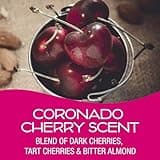 California Scents Car Scents Car Air Freshener Assortment - 4 Count, Auto Air Freshener Variety Pack, Great for Cars, 4 Pack